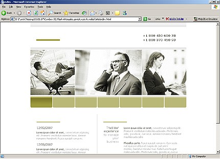 Website Template #13445