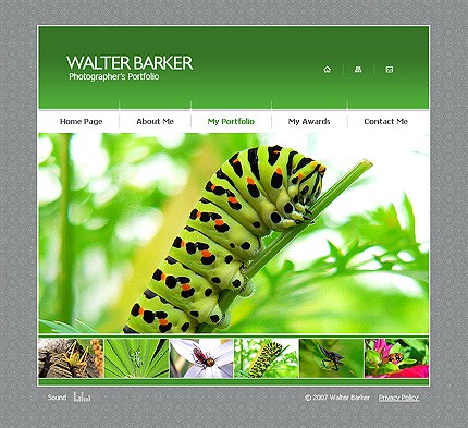 Website Template #13501