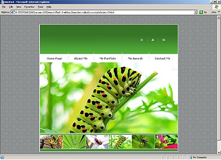Website Template #13501