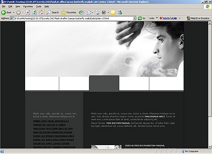 Website Template #13664