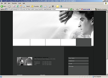 Website Template #13664