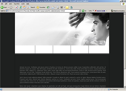 Website Template #13664