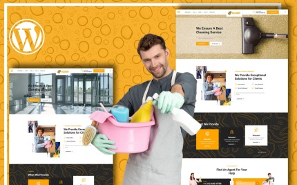 WordPress Themes