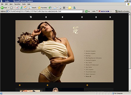 Website Template #13732