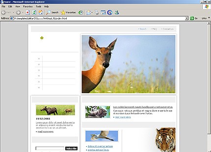 Website Template #13782