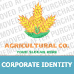 Corporate Identity Template  #13787