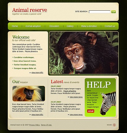 Website Template #13909