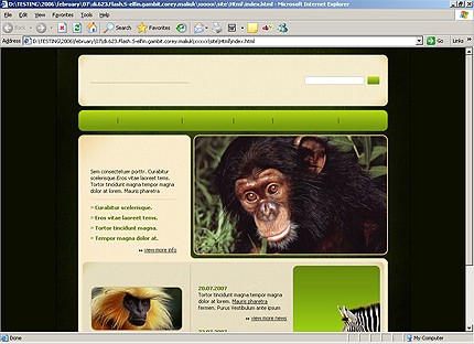 Website Template #13909