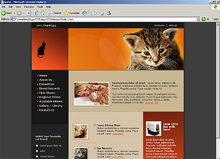 Website Template #13928
