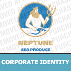 Corporate Identity #14197