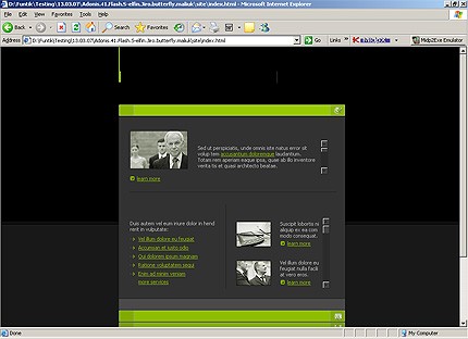 Website Template #14248