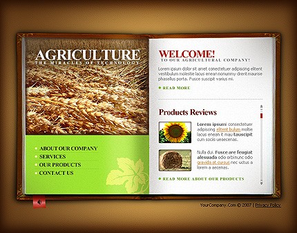Website Template #14266