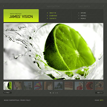 image gallery html template. Website Template #14310
