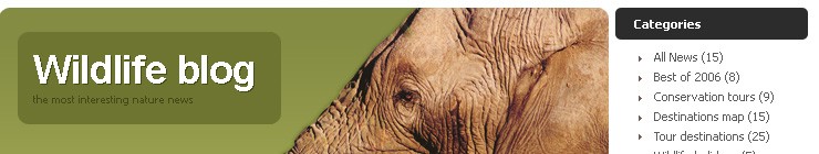 Website Template #14397