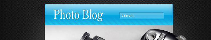 Website Template #14827