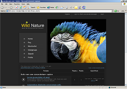Website Template #14829