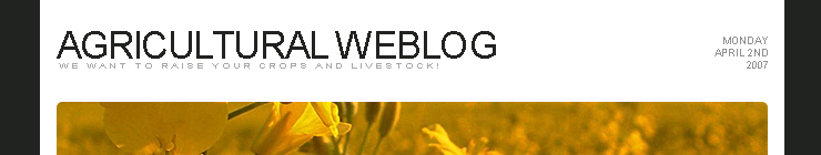 Website Template #14835
