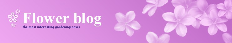 Website Template #14920