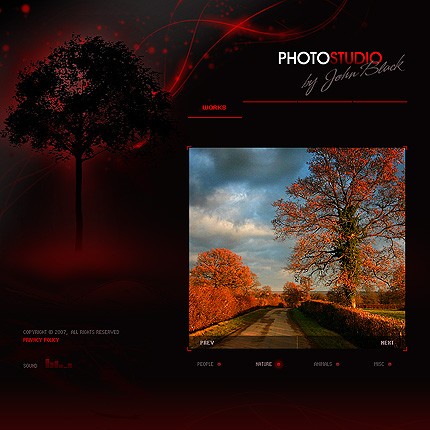 Website Template #14965