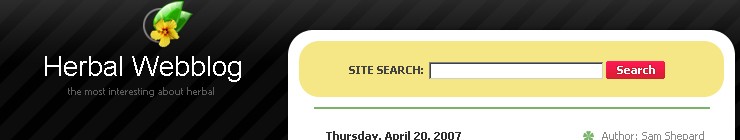 Website Template #14987