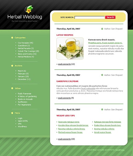 Website Template #14987