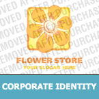 Corporate Identity #15006