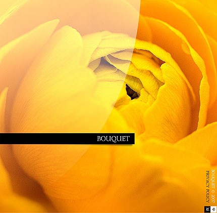 Website Template #15171