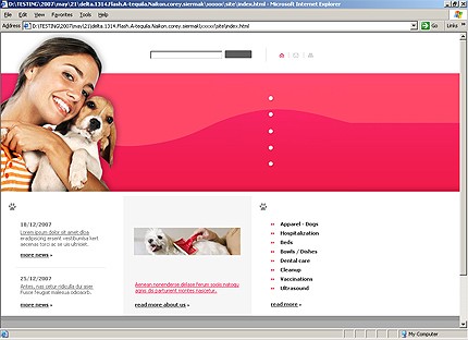 Website Template #15231