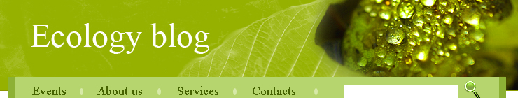 Website Template #15248