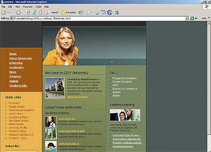 Website Template #15447