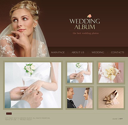 Website Template #15529