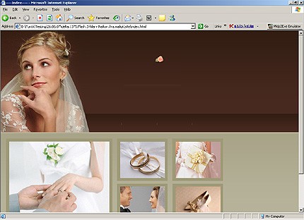 Website Template #15529