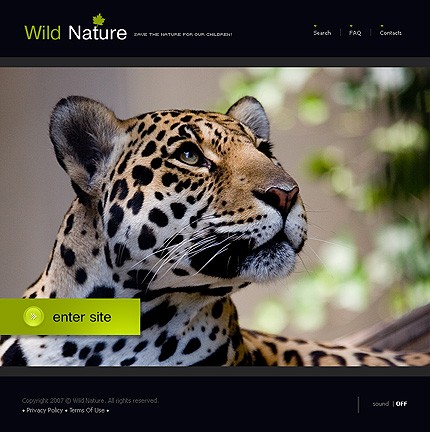 Website Template #15531