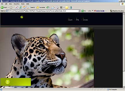 Website Template #15531
