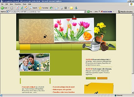 Website Template #15557
