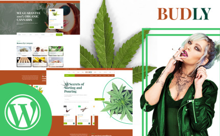 WordPress Themes