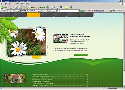 Website Template #15651