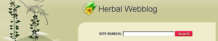 Website Template #15658
