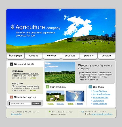 Website Template #15756