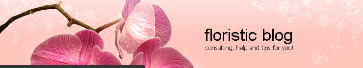 Website Template #15938