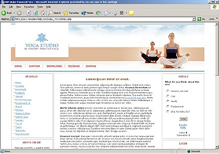 Website Template #15991