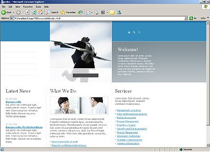 Website Template #16028