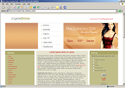 Website Template #16063