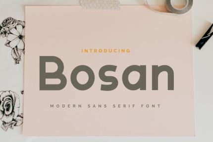 Fonts