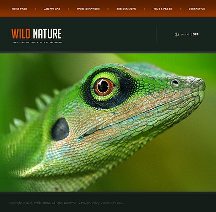 Website Template #16152