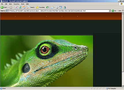 Website Template #16152