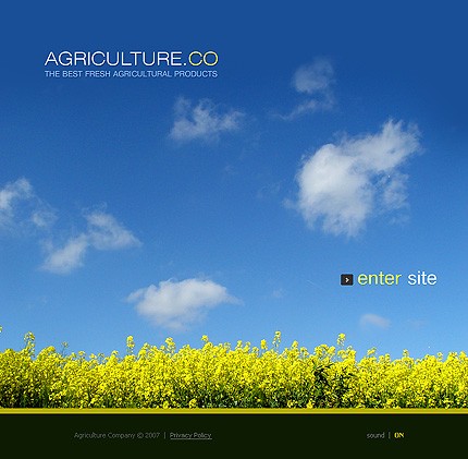 Website Template #16258
