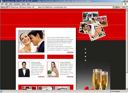 Website Template #16308