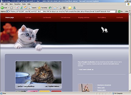 Website Template #16435