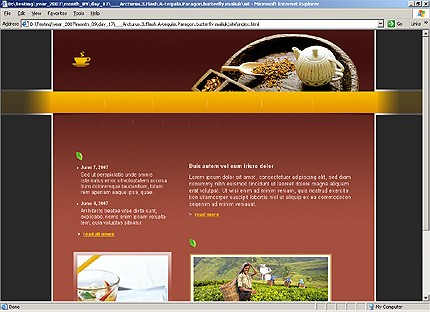 Website Template #16492